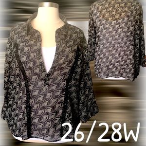 Collared shear lace blouse